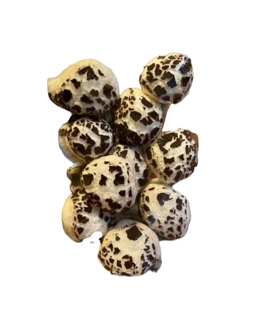 Freeze Dried Peppermint Solars (Peppermint Pattiez)