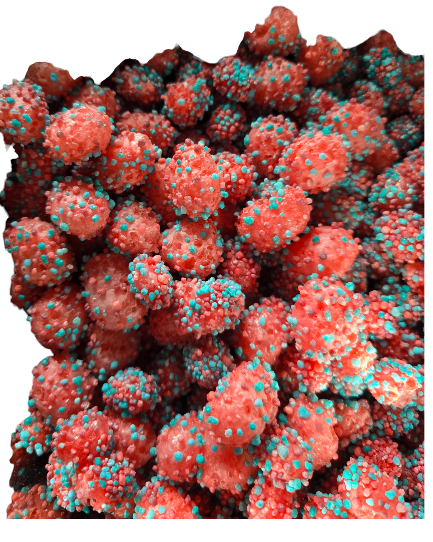 Freeze Dried Alien Eggs (Nerd Clusterz)