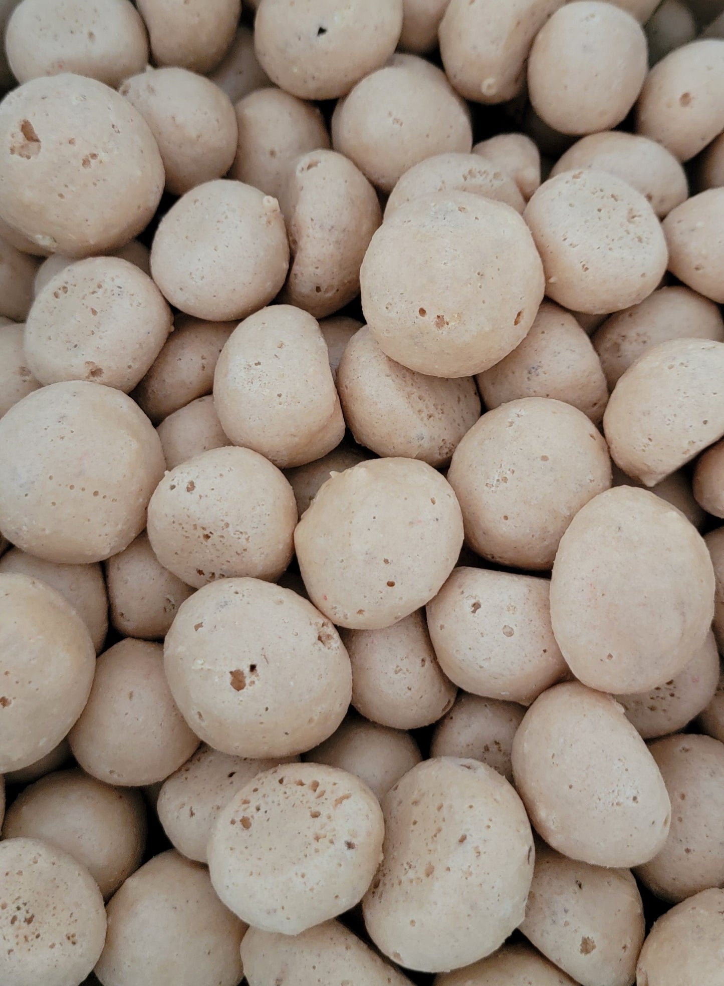 Freeze Dried Bitta Honey