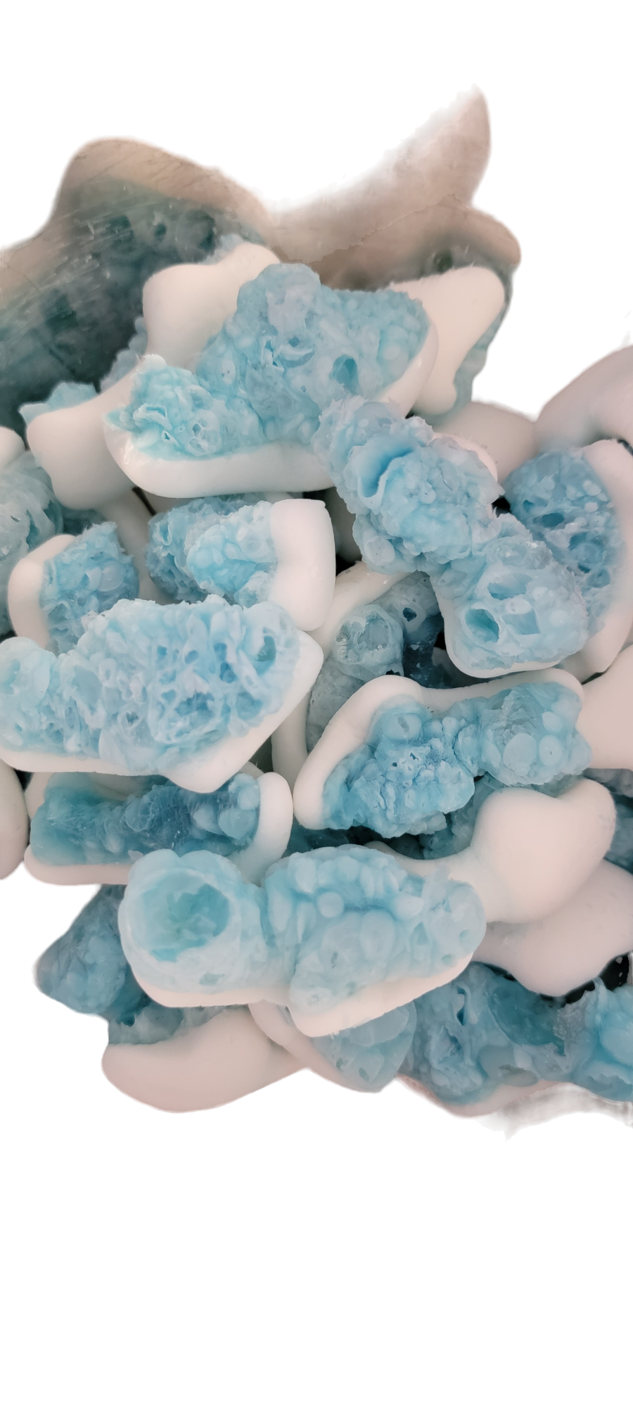 Freeze Dried Space Sharks (Gummi Sharkz)