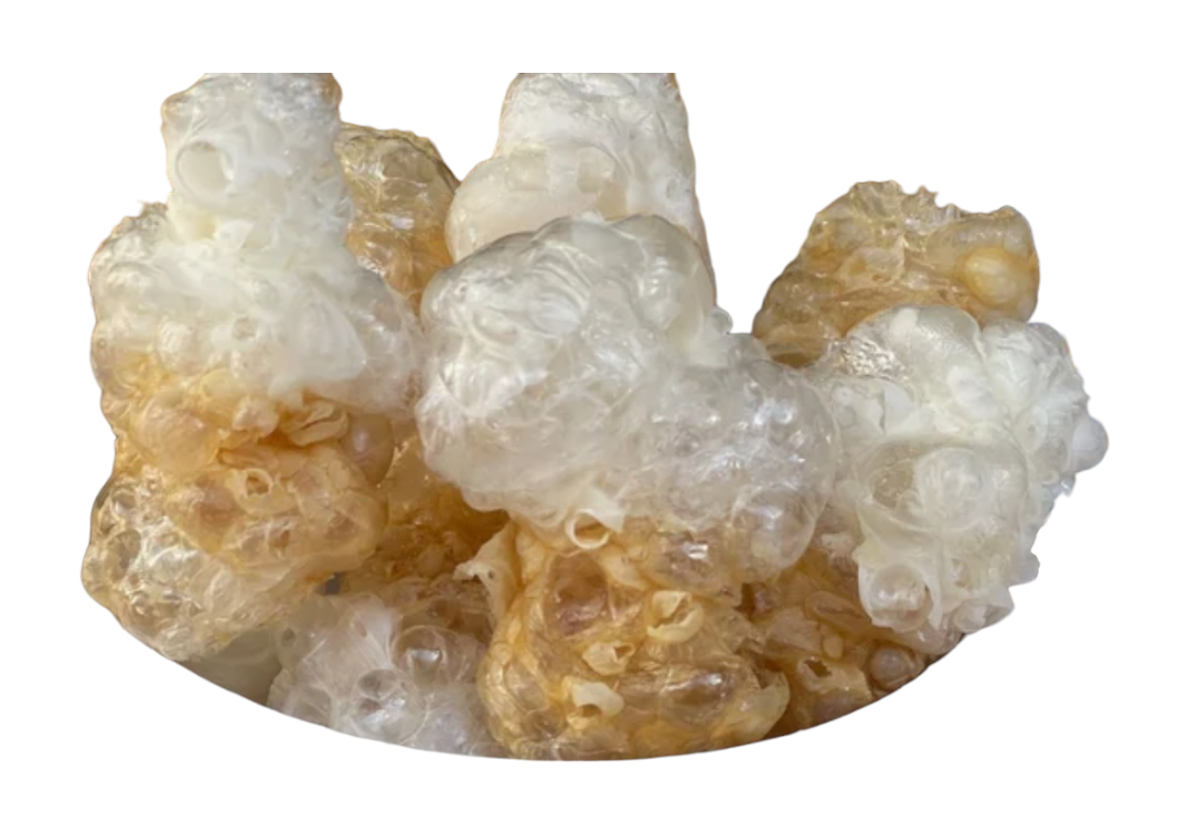 Freeze Dried Cola Bottlez