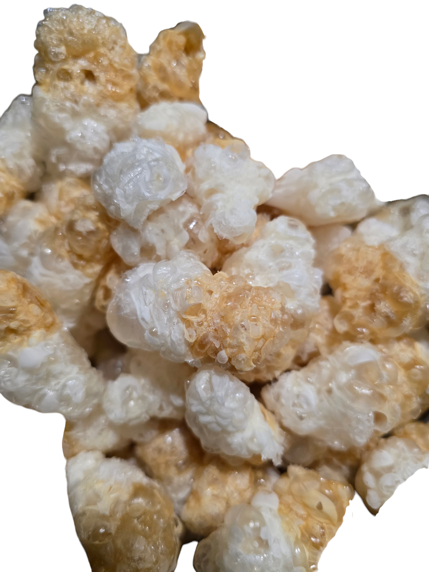 Freeze Dried Cola Bottlez