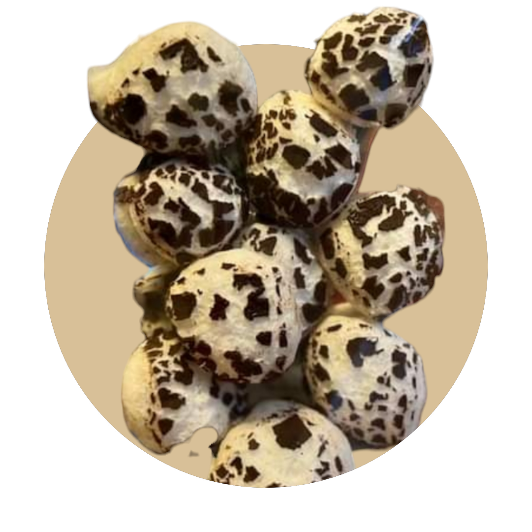 Freeze Dried Peppermint Solars (Peppermint Pattiez)