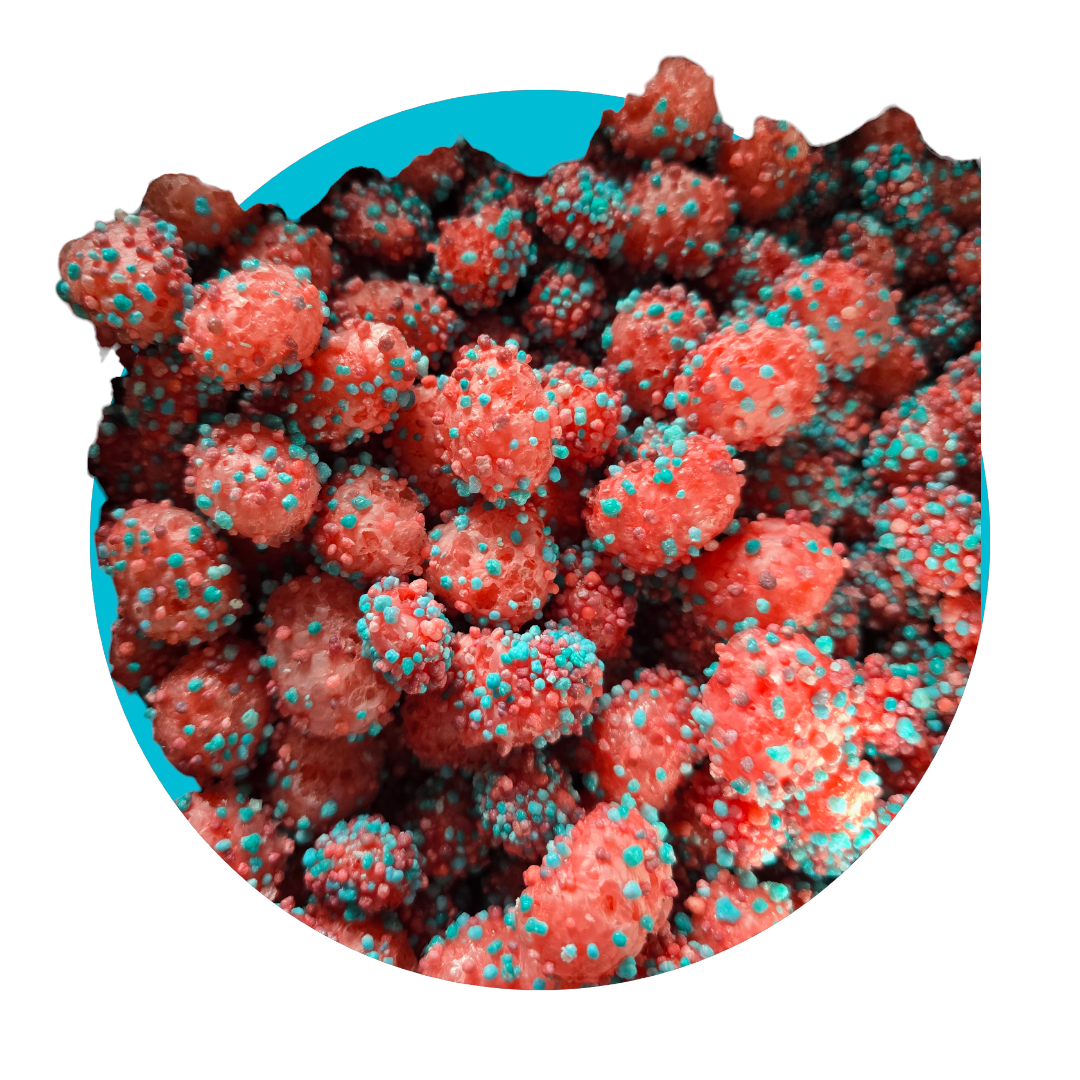 Freeze Dried Alien Eggs (Nerd Clusterz)