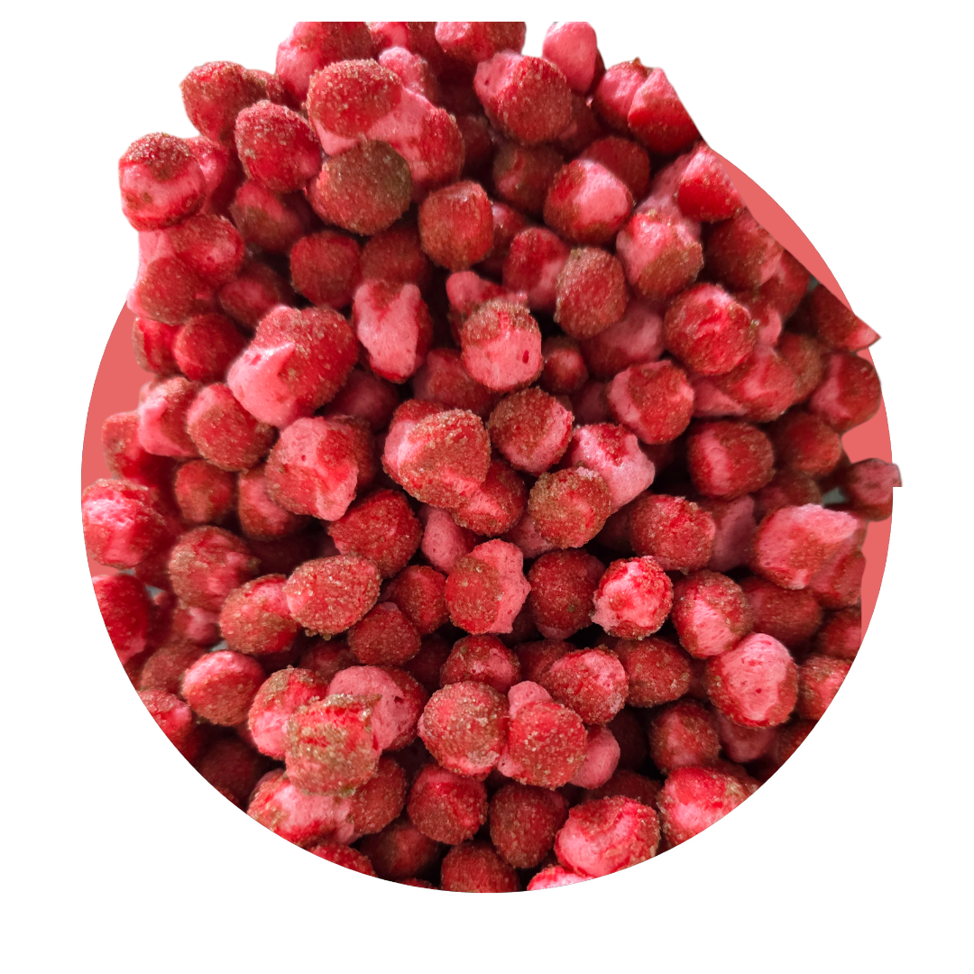 Freeze Dried Apple Cinnamon Lava Rocks (Red Hotz)