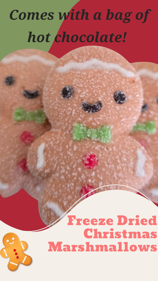 Freeze Dried Christmas Marshmallows (Comes with a bag of hot chocolate!)