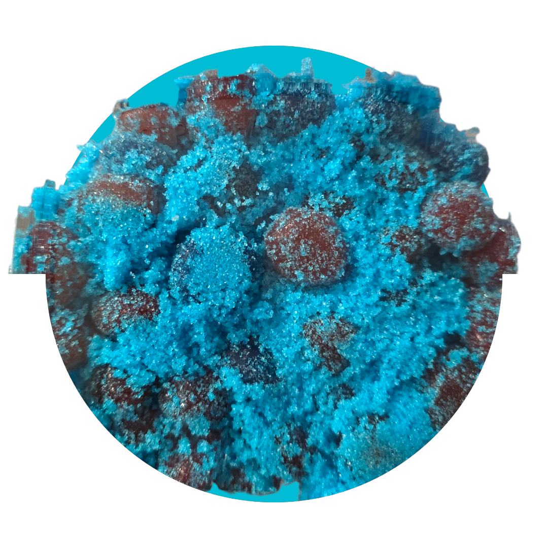 Exotic Gusherz- NOT FREEZE DRIED