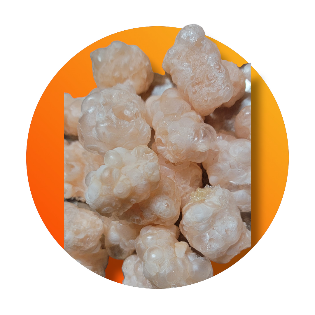 Freeze Dried Crunchy Space Bears (Gummi Bearz)