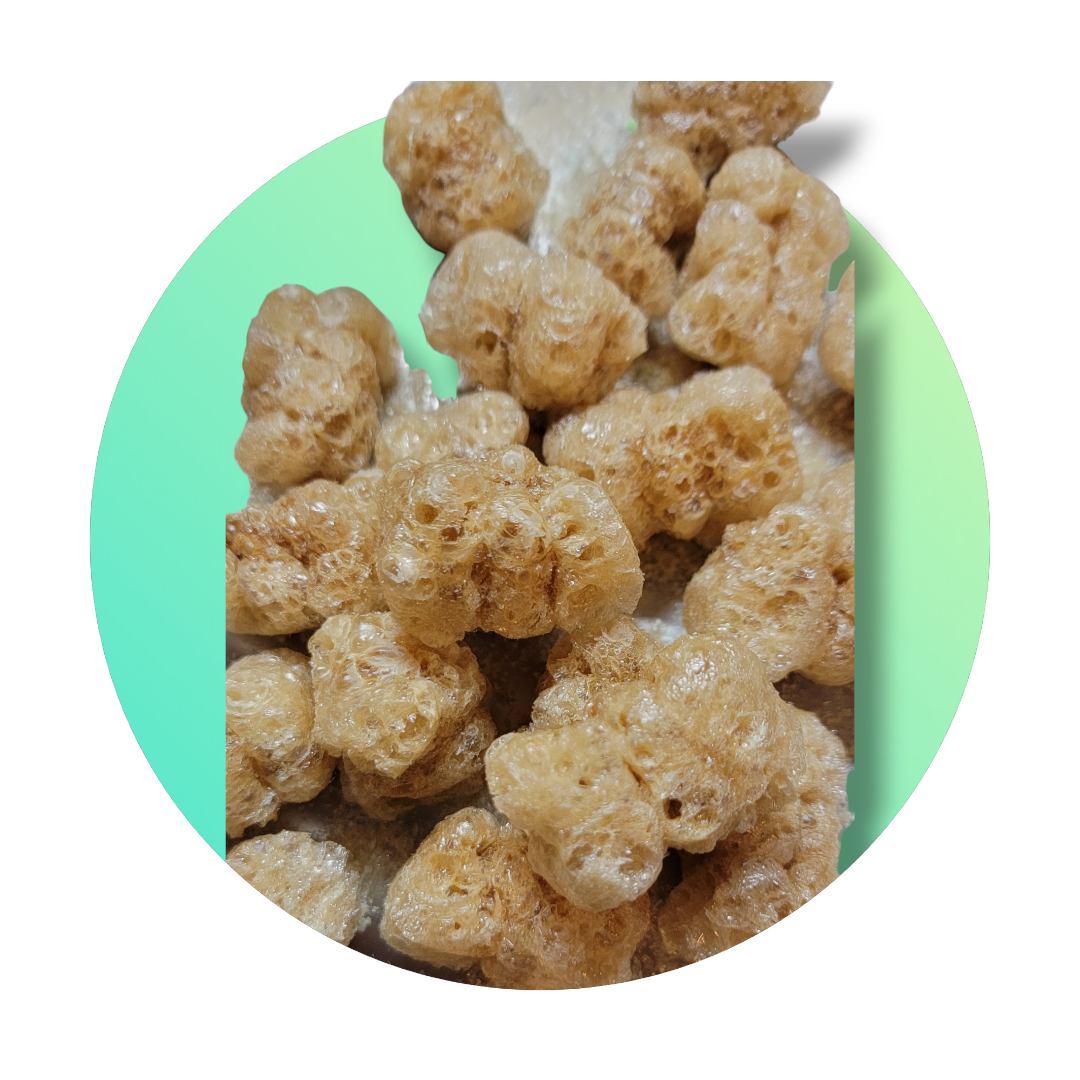 Freeze Dried Crunchy Space Bears (Gummi Bearz)