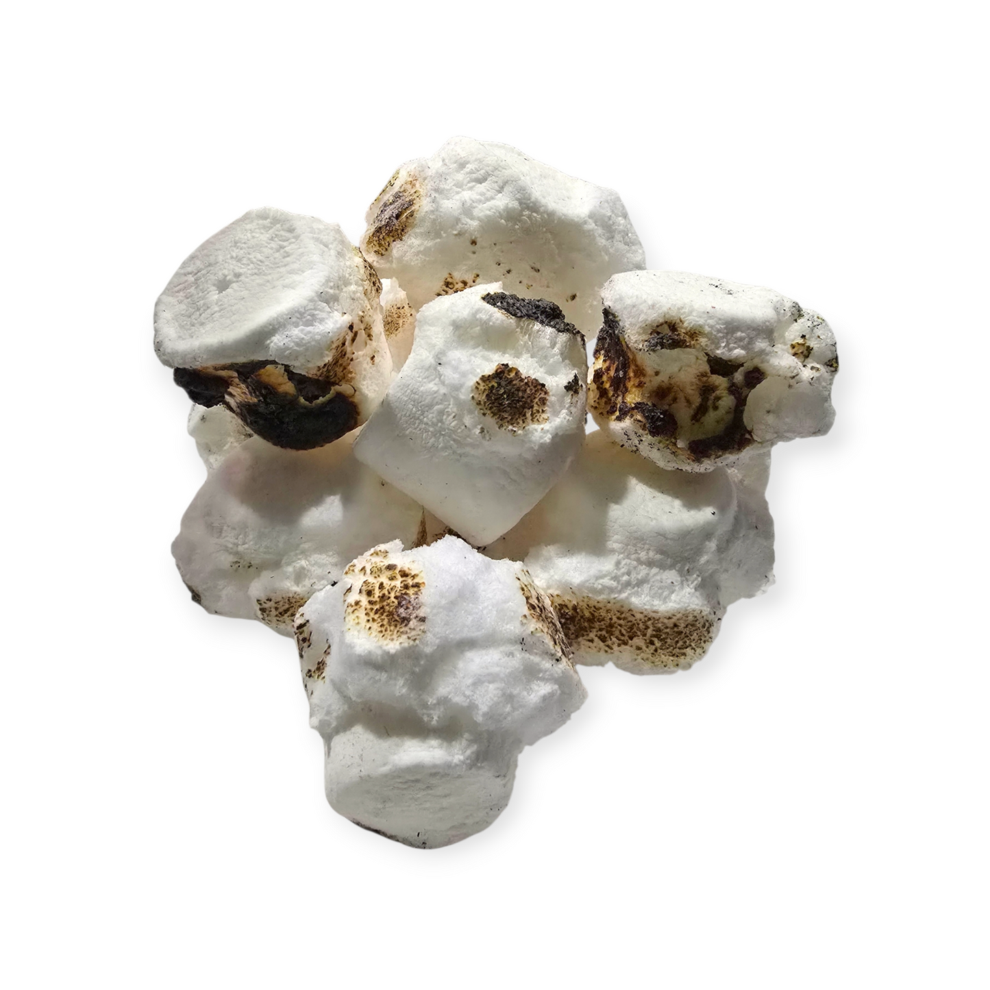 Freeze Dried Fire Roasted Marshmallows