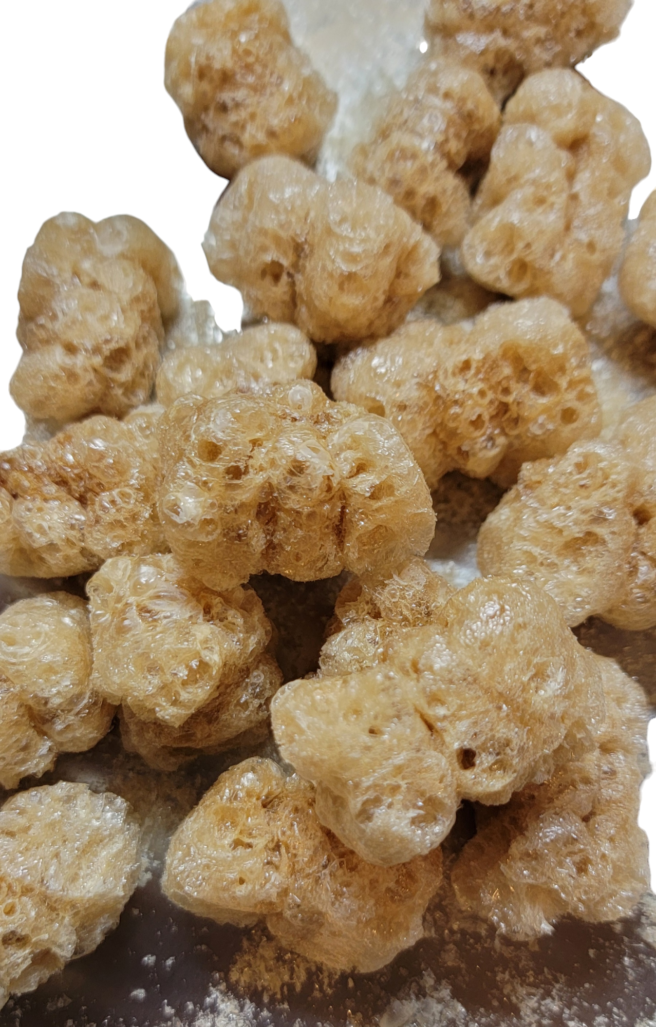 Freeze Dried Crunchy Space Bears (Gummi Bearz)